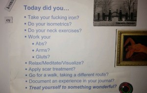 Fridge List: I actually take handfuls of supplements, not just iron.